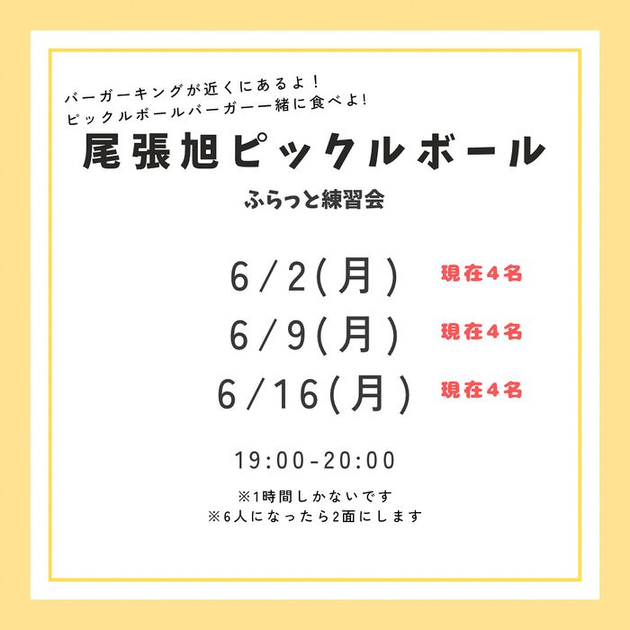 ジュニアも集まれピックル部　ふらっと練習会